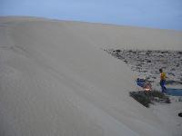Unberührte Dünenlandschaft in der Westsahara ...